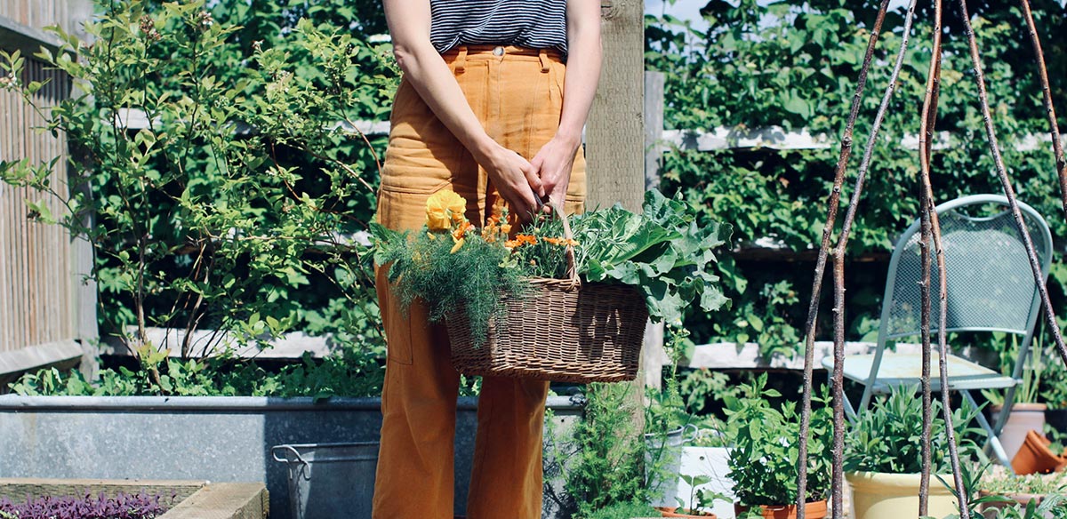 Field Food Nutrition Lewes