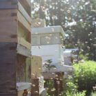 Sustainable Bee Keeping Course Sussex