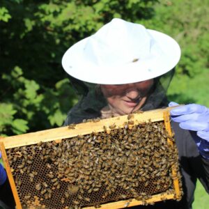 Bee Keeping Course Sussex