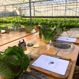 The Seasonal Fermentation Series with Rachel de Thample <h5>Spring and Autumn Bundle</h5>