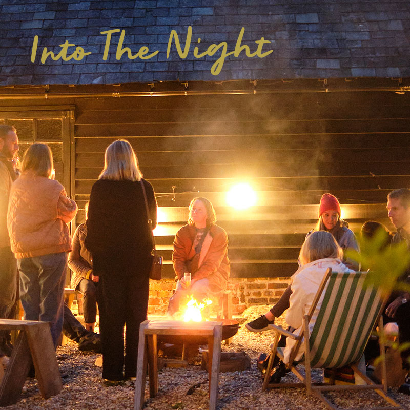 Into The Night - Field Food